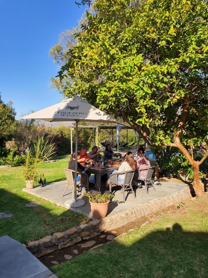 Thabile Lodge เอาท์สโฮร์น ภายนอก รูปภาพ