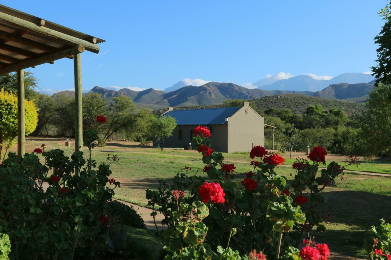 Thabile Lodge เอาท์สโฮร์น ภายนอก รูปภาพ