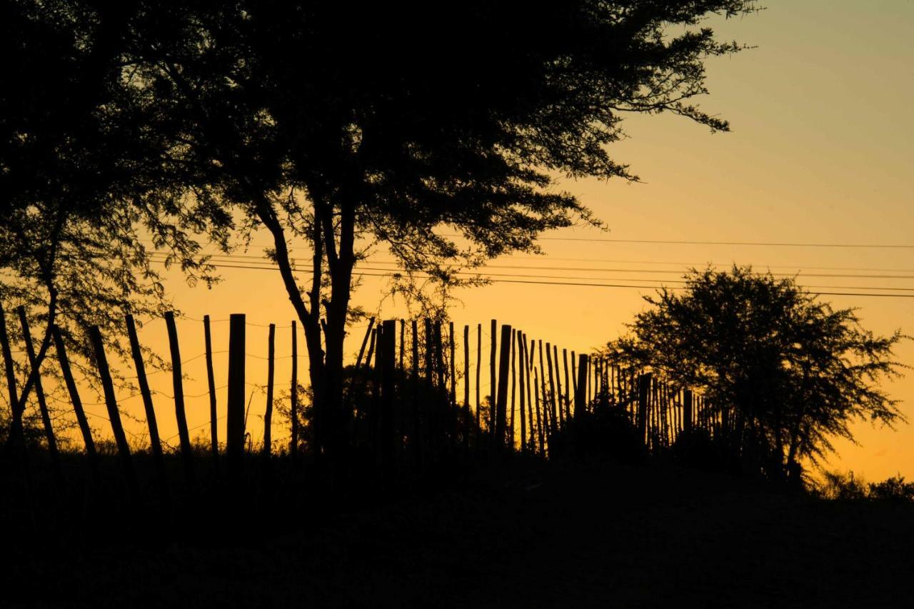 Thabile Lodge เอาท์สโฮร์น ภายนอก รูปภาพ