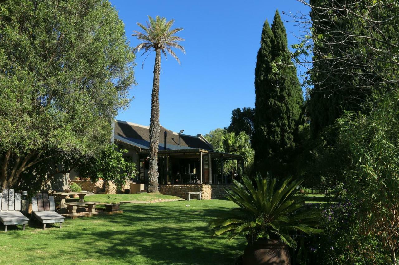 Thabile Lodge เอาท์สโฮร์น ภายนอก รูปภาพ